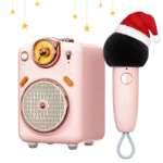 Divoom Fairy-OK Retro Mini Karaoke Speaker – Buy at Findnexora