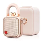 Divoom Lovelock Bluetooth Speaker – Buy at Findnexora