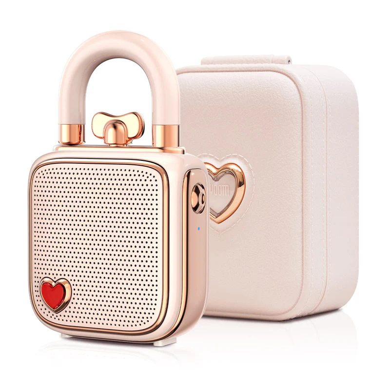 Divoom Lovelock Bluetooth Speaker – Buy at Findnexora