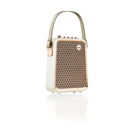 divoom-songbird-hq-portable-karaoke-speaker-findnexora (5)
