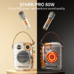 Divoom Spark-Pro Bluetooth Portable Karaoke Speaker – Buy at Findnexora